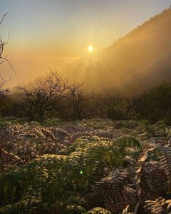 image-sunrise-ijen-kawah