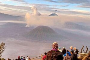 Bromo tribe