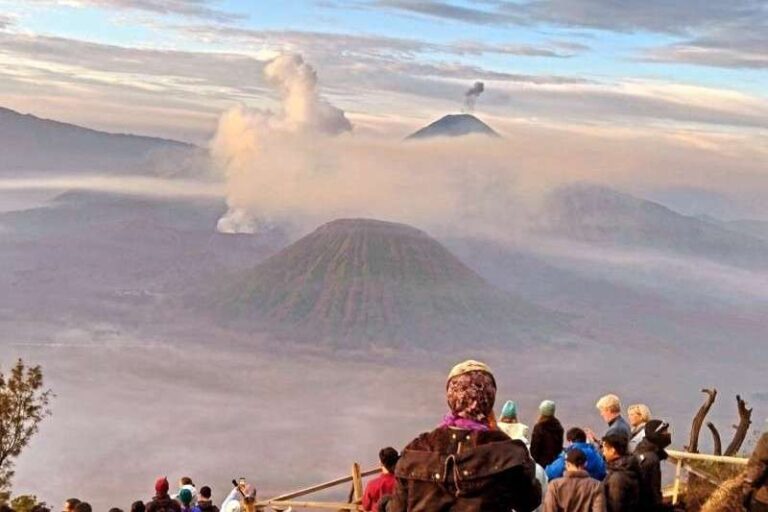 Bromo tribe