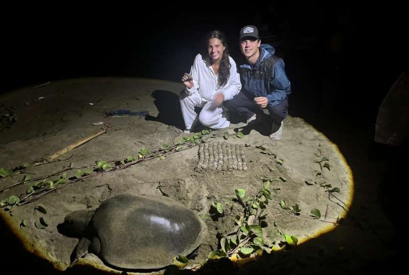 Sea turtle conservation activity at Sukamade beach